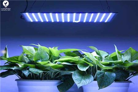 پنل رشد گیاه