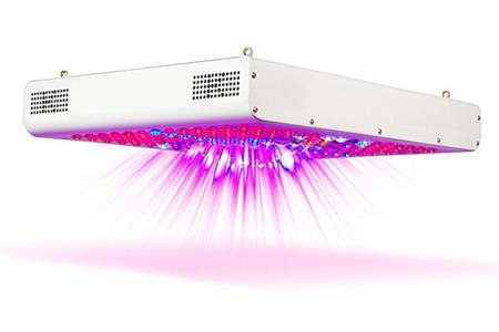 لامپ رشد گیاه چیست؟ | لامپ مخصوص رشد گیاه | چراغ رشد گیاه