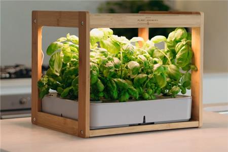 نور مصنوعی برای گیاه آپارتمانی 