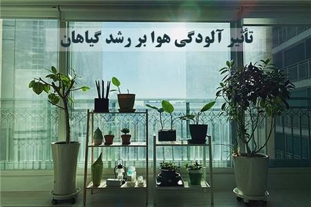 تأثیر آلودگی هوا بر رشد و پرورش گیاهان