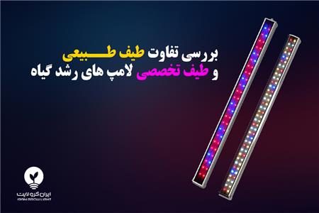 تفاوت طیف تخصصی و طیف طبیعی لامپ‌های رشد گیاه