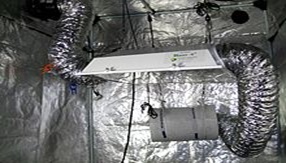 لامپ بخار سدیم گلخانه