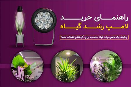 راهنمای خرید لامپ رشد گیاه