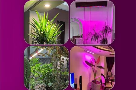 جایگزینی نورهای مصنوعی رشد گیاه به جای نور خورشید