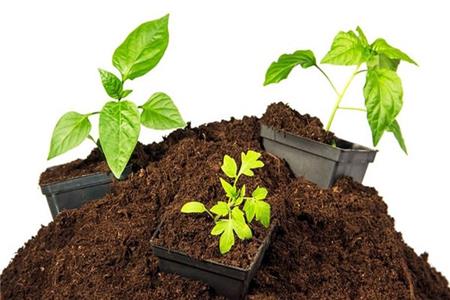 خاک مناسب کشاورزی