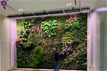 نور پردازی دیوار سبز