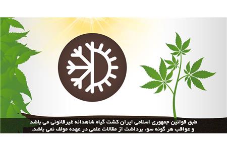 هوای کشت شاهدانه