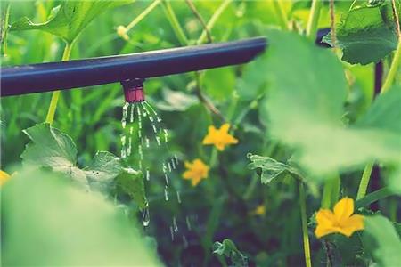 سیستم آبیاری هوشمند در فضای سبز