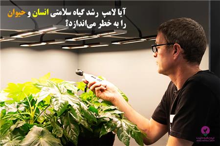 آیا لامپ رشد گیاه برای انسان ضرر دارد!؟