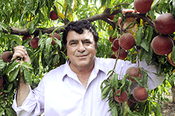 پروفســور اســماعيل فلاحى استاد برجسته ايرانى ساکن آمریکا