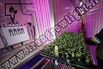  پرورش گل و گیاه با نور ال ای دی در کانتینر