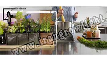 مهم ترین فاکتورهای نگهداری از گیاه 