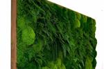 گرین وال چیست؟ راهنمای جامع طراحی , اجرا و نگهداری دیوار سبز