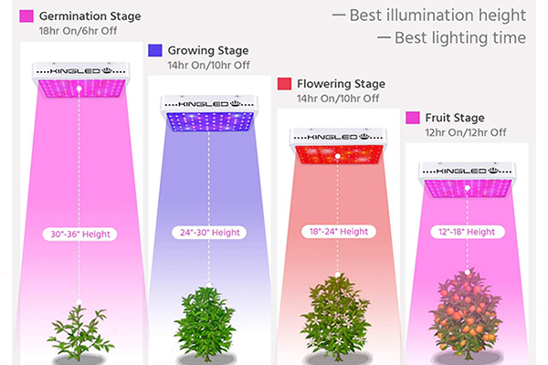 ساخت ال ای دی رشد گیاه