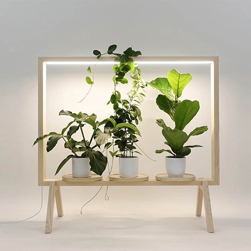 آموزش نحوه صحيح انتخاب نور استاندارد براي گياهان