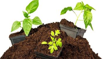 خاک مناسب کشاورزی