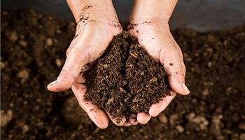 پیت ماس چیست؟