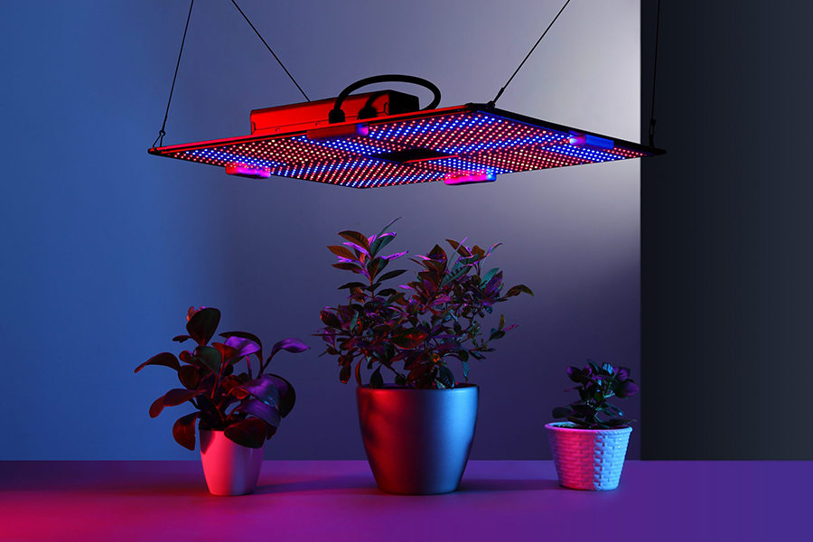 تاثیر انواع نور بر رشد گیاهان - بهترین نور لامپ رشد گیاهان