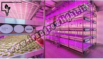 لامپ گلخانه ای