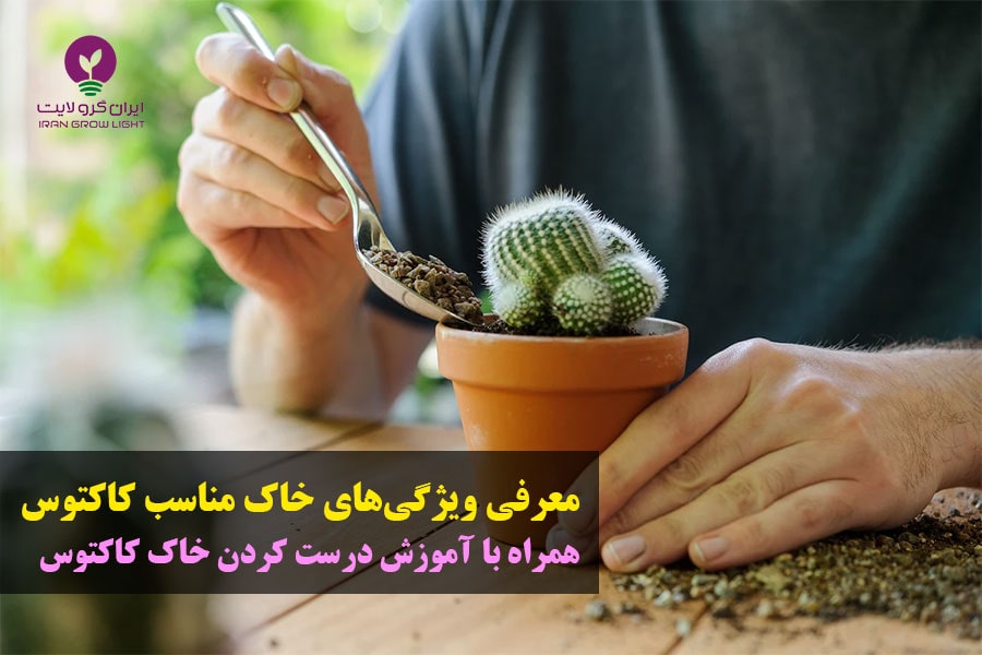 خاک مناسب کاکتوس - خاک کاکتوس