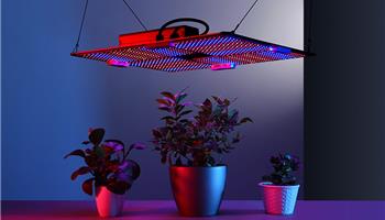 تاثیر انواع نور بر رشد گیاهان - بهترین نور لامپ رشد گیاهان