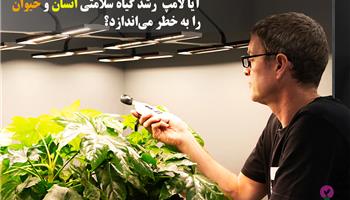 آیا لامپ رشد گیاه برای انسان ضرر دارد!؟