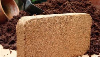 کوکوپیت  چیست؟