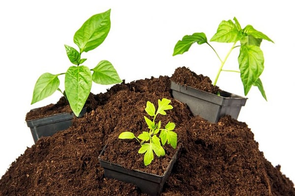 خاک مناسب کشاورزی