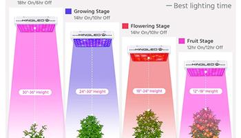 ساخت ال ای دی رشد گیاه یا ساخت چراغ رشد گیاه