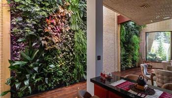 نور دیوار سبز: 0 تا 100 از ایده تا اجرا