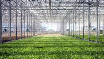 راه اندازی گلخانه