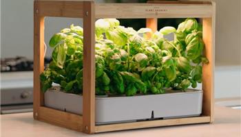 نور مصنوعی برای گیاه آپارتمانی 