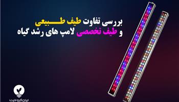 تفاوت طیف تخصصی و طیف طبیعی لامپ‌های رشد گیاه