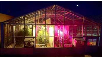 مقایسه گلخانه سنتی با گلخانه های مجهز به نور مصنوعی