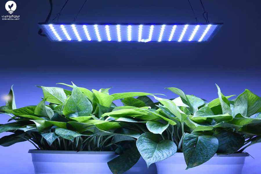 پنل رشد گیاه