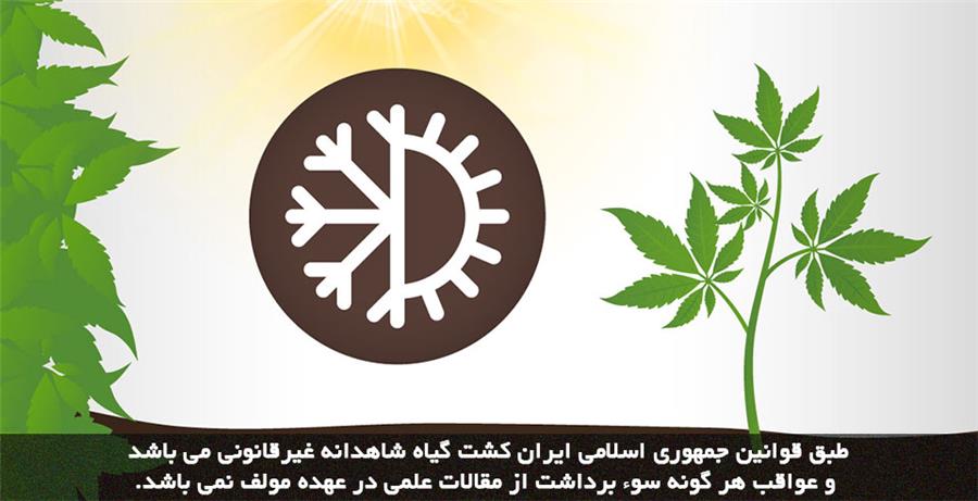 هوای کشت شاهدانه