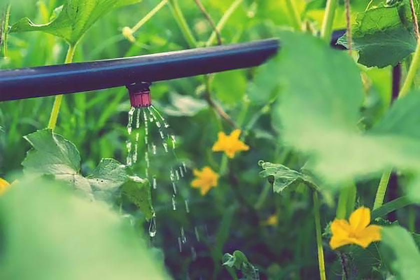 سیستم آبیاری هوشمند در فضای سبز