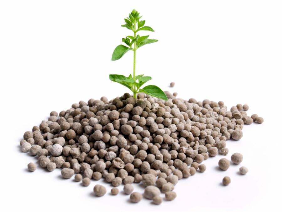  کود ضد تنش و استرس