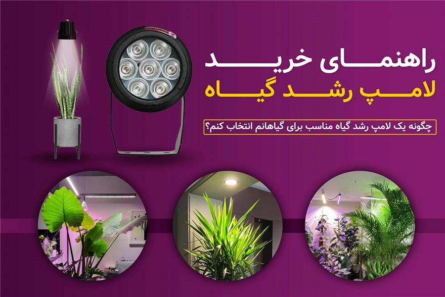 راهنمای خرید لامپ رشد گیاه