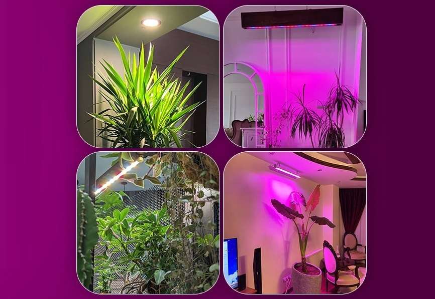 جایگزینی نورهای مصنوعی رشد گیاه به جای نور خورشید