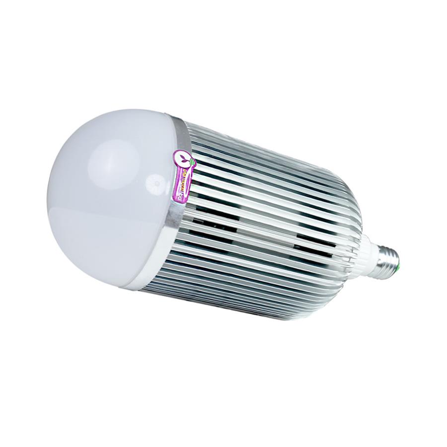 لامپ رشد گیاه ارزان قیمت نخرید!!