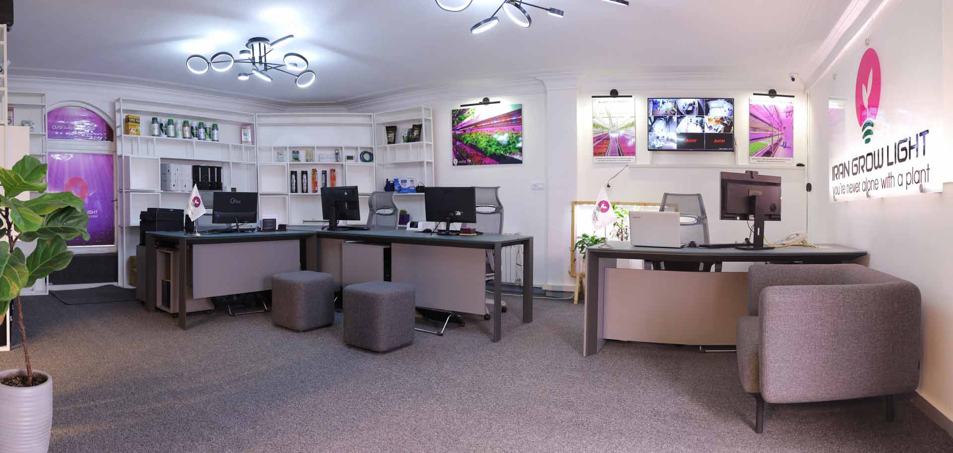 دفتر ایران گرولایت