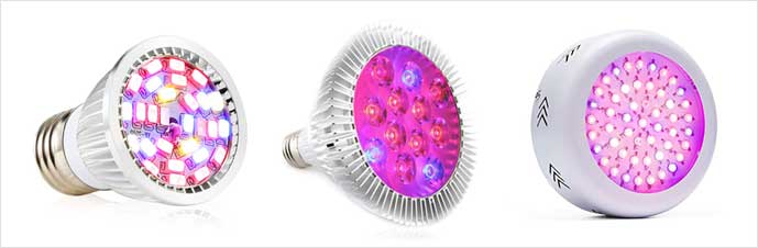 ال ای دی مخصوص رشد گیاه