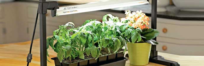 ساخت چراغ رشد گیاه