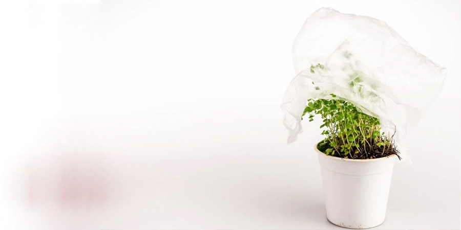 پوشاندن گیاهان با پلاستیک - تامین رطوبت گیاهان آپارتمانی