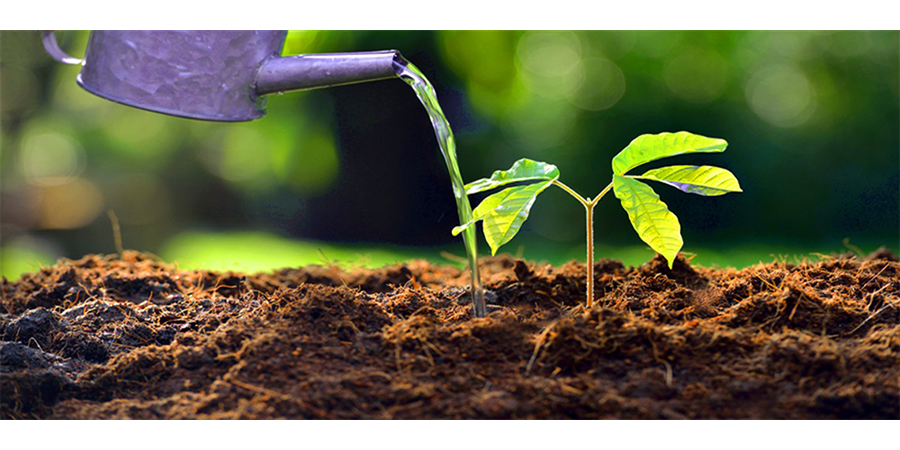 تامین رطوبت خاک گیاهان