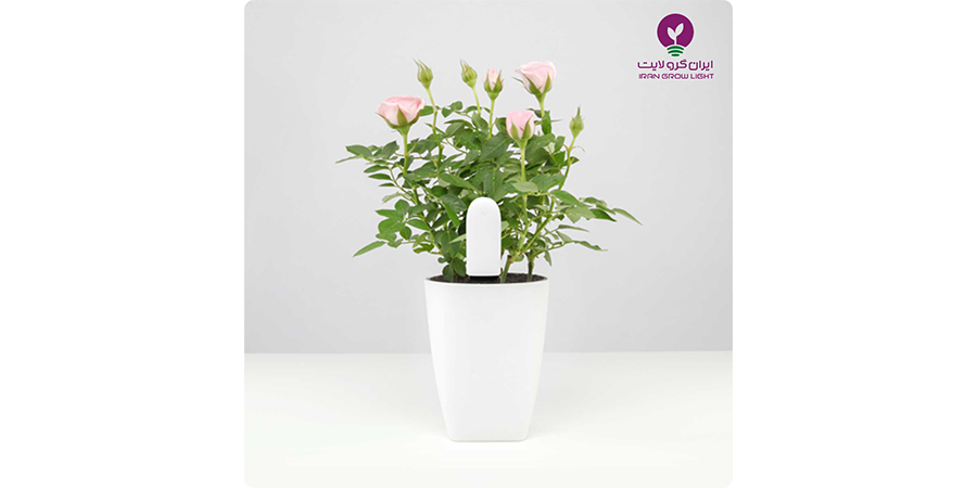 سنسور هوشمند رطوبت خاک برای گیاهان آپارتمانی