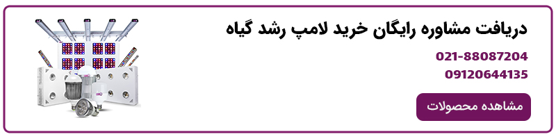 خرید لامپ کاکتوس - خرید نور مصنوعی برای کاکتوس