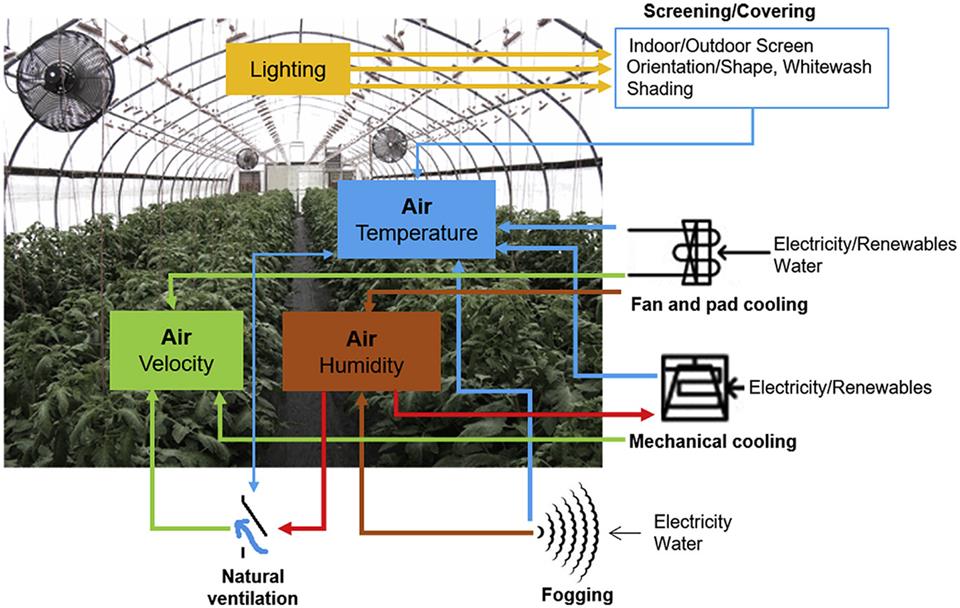ساخت گلخانه مدرن