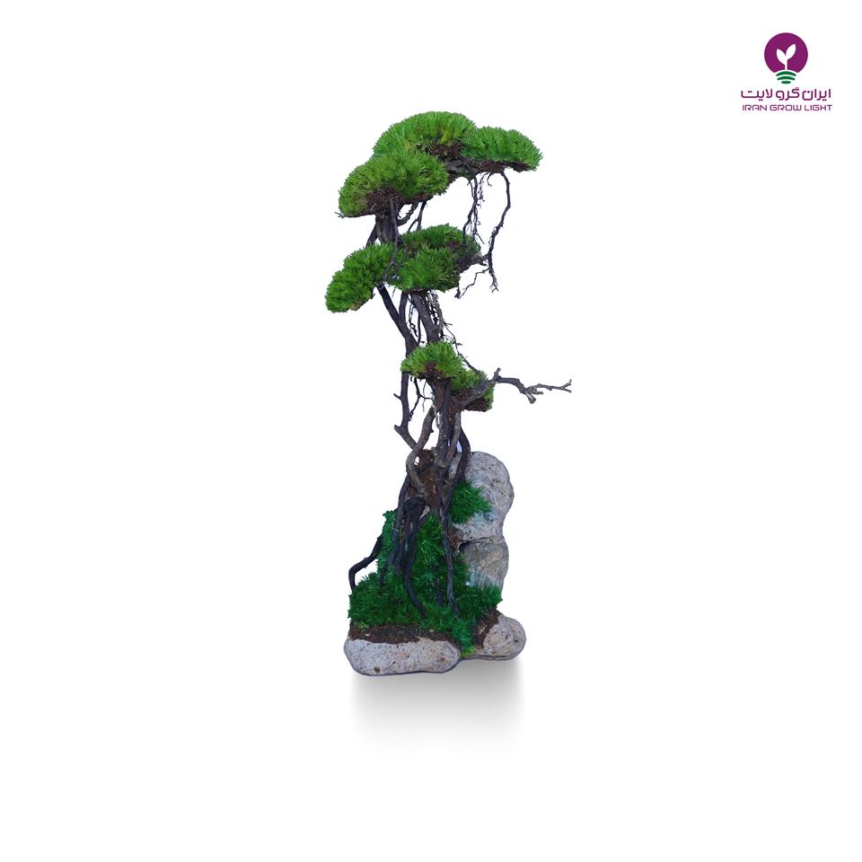 درخت جاویدان